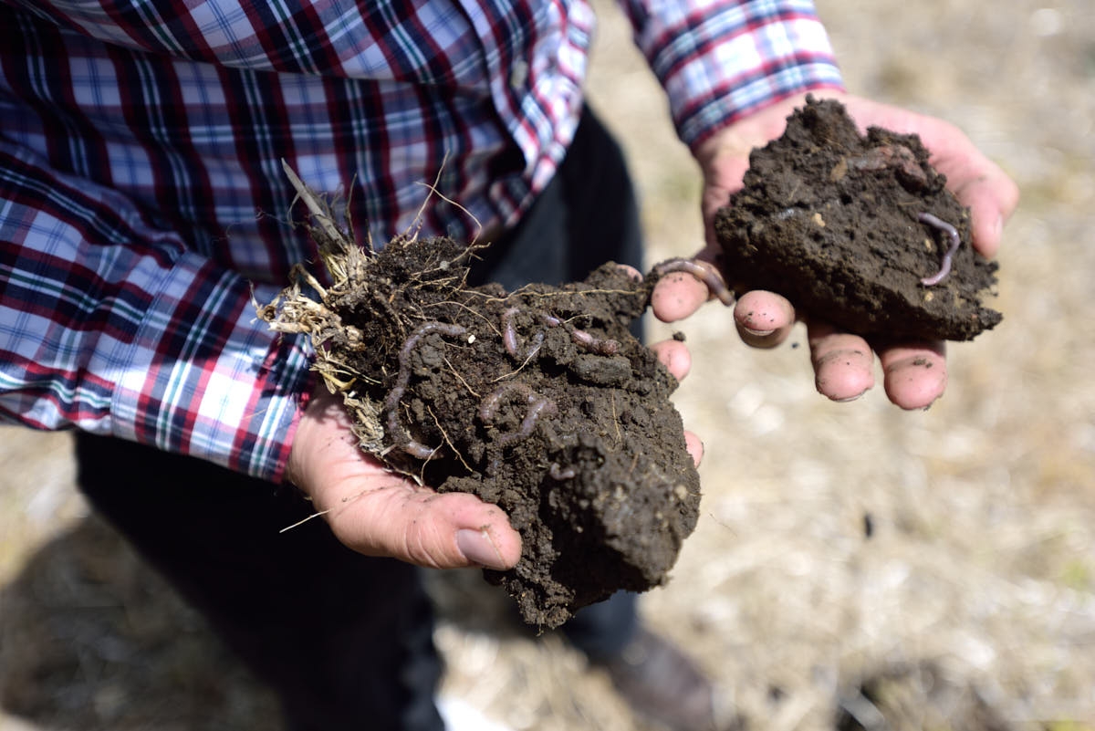 ND: Increasing Soil Health for More Productive Ranching