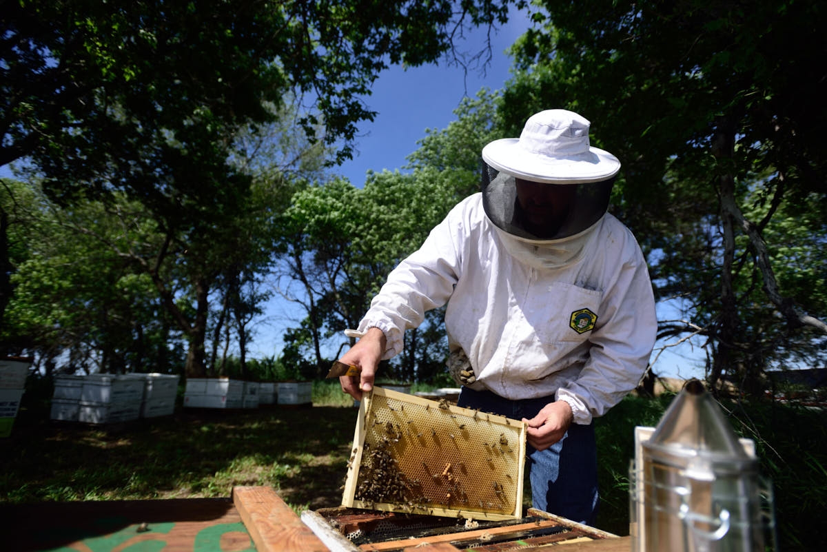 ND: Beekeeping in North Dakota